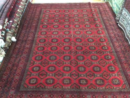Princess Bokhara 👸 333 cm. X 256 cm. fine wool rug