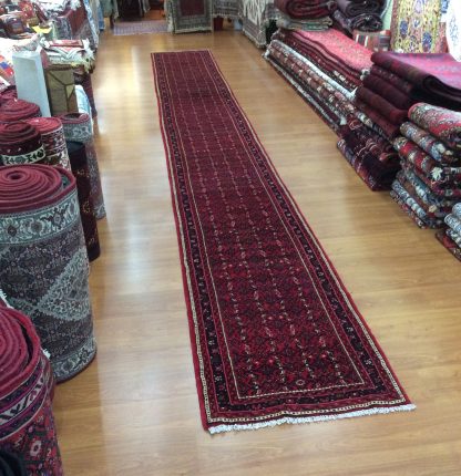 Hamedan 685 cm. X 82 cm. very fine wool runner - Image 9