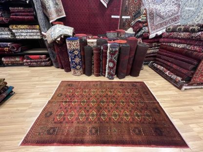 Premium quality Princess Bokhara 200 cm. X 130 cm. wool rug - Image 7
