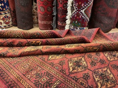Premium quality Princess Bokhara 200 cm. X 130 cm. wool rug - Image 3