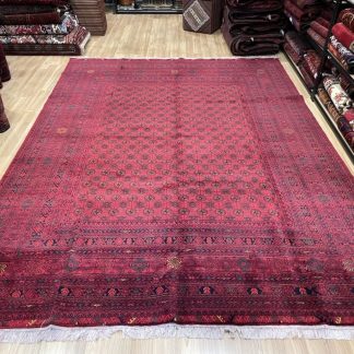 Premium Quality Persian Princess Bokhara 331 cm. X 241 cm. Large Wool Rug